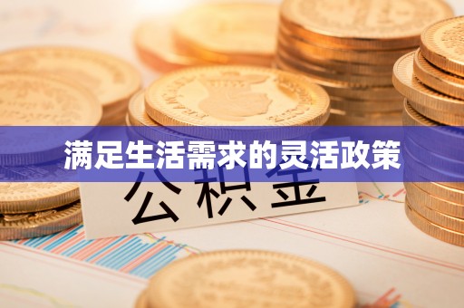 农安满足生活需求的灵活政策