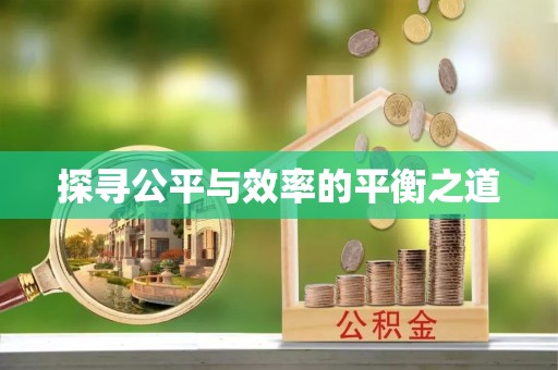 农安探寻公平与效率的平衡之道