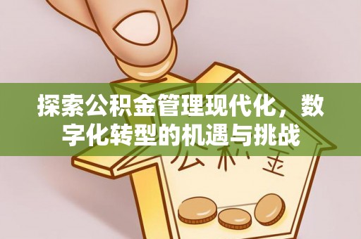 农安探索公积金管理现代化，数字化转型的机遇与挑战
