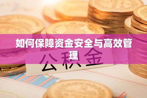 农安如何保障资金安全与高效管理