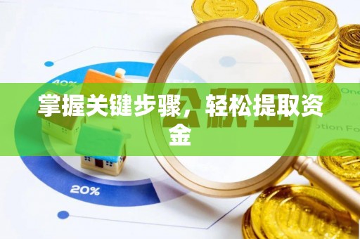 农安掌握关键步骤，轻松提取资金