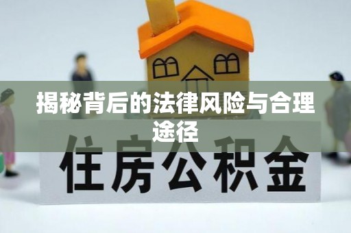 农安揭秘背后的法律风险与合理途径