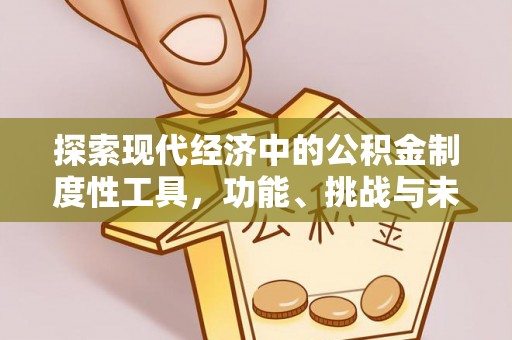 农安探索现代经济中的公积金制度性工具，功能、挑战与未来