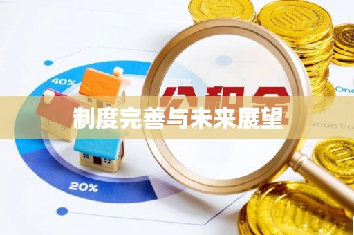 农安制度完善与未来展望