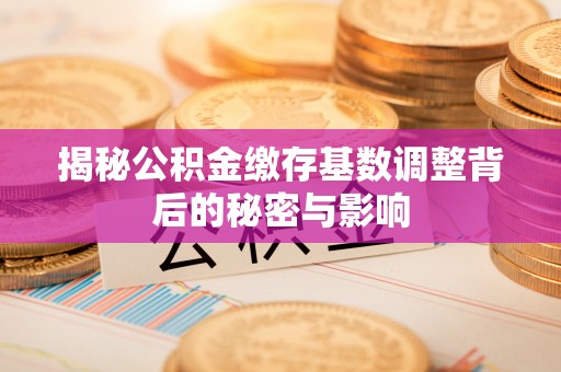农安揭秘公积金缴存基数调整背后的秘密与影响