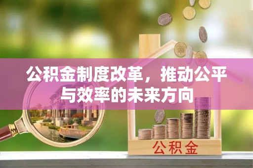 农安公积金制度改革，推动公平与效率的未来方向