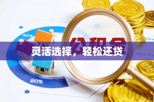 农安灵活选择，轻松还贷