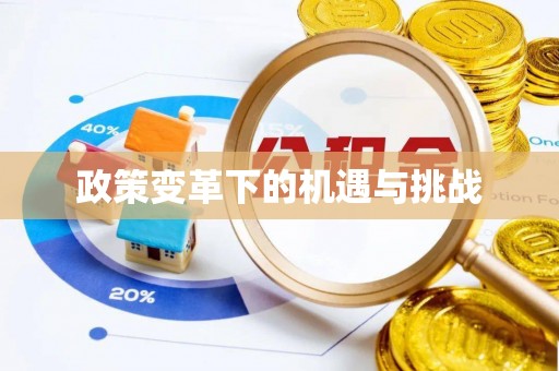 农安政策变革下的机遇与挑战