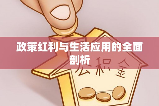 农安政策红利与生活应用的全面剖析