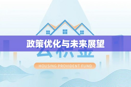 农安政策优化与未来展望