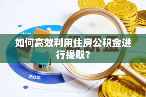 农安如何高效利用住房公积金进行提取？