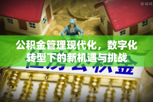 农安公积金管理现代化，数字化转型下的新机遇与挑战