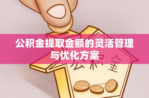 农安公积金提取金额的灵活管理与优化方案