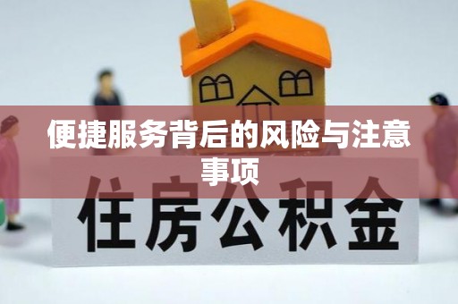 农安便捷服务背后的风险与注意事项