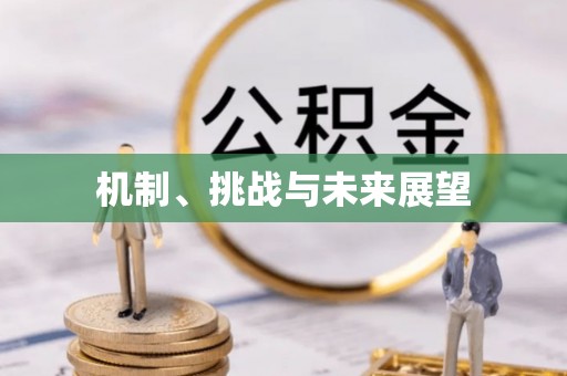农安机制、挑战与未来展望