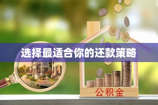农安选择最适合你的还款策略