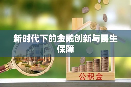 农安新时代下的金融创新与民生保障